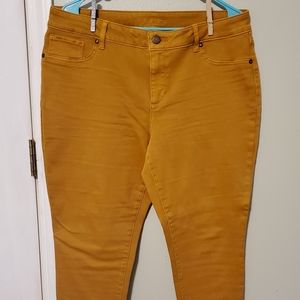 Women's pants